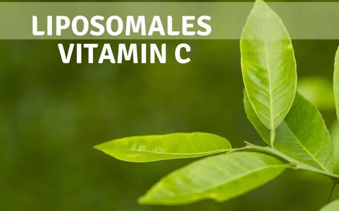 Erstaunliches über Liposomales Vitamin C
