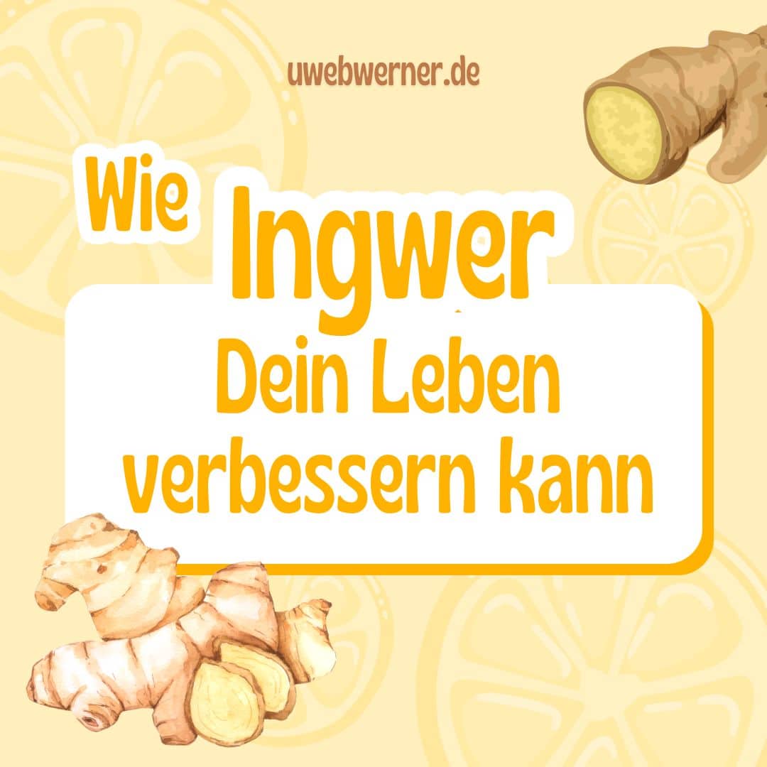 Ingwer