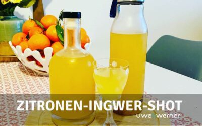 Zitronen-Ingwer-Shot selbstgemacht