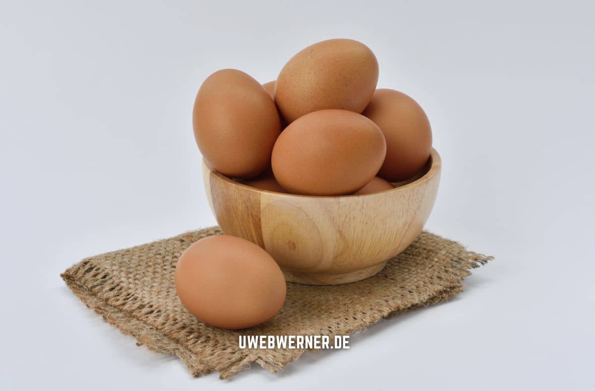 eier