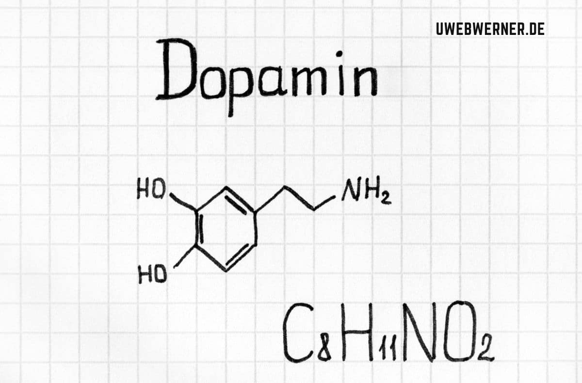 hochsensibiltät und dopamin