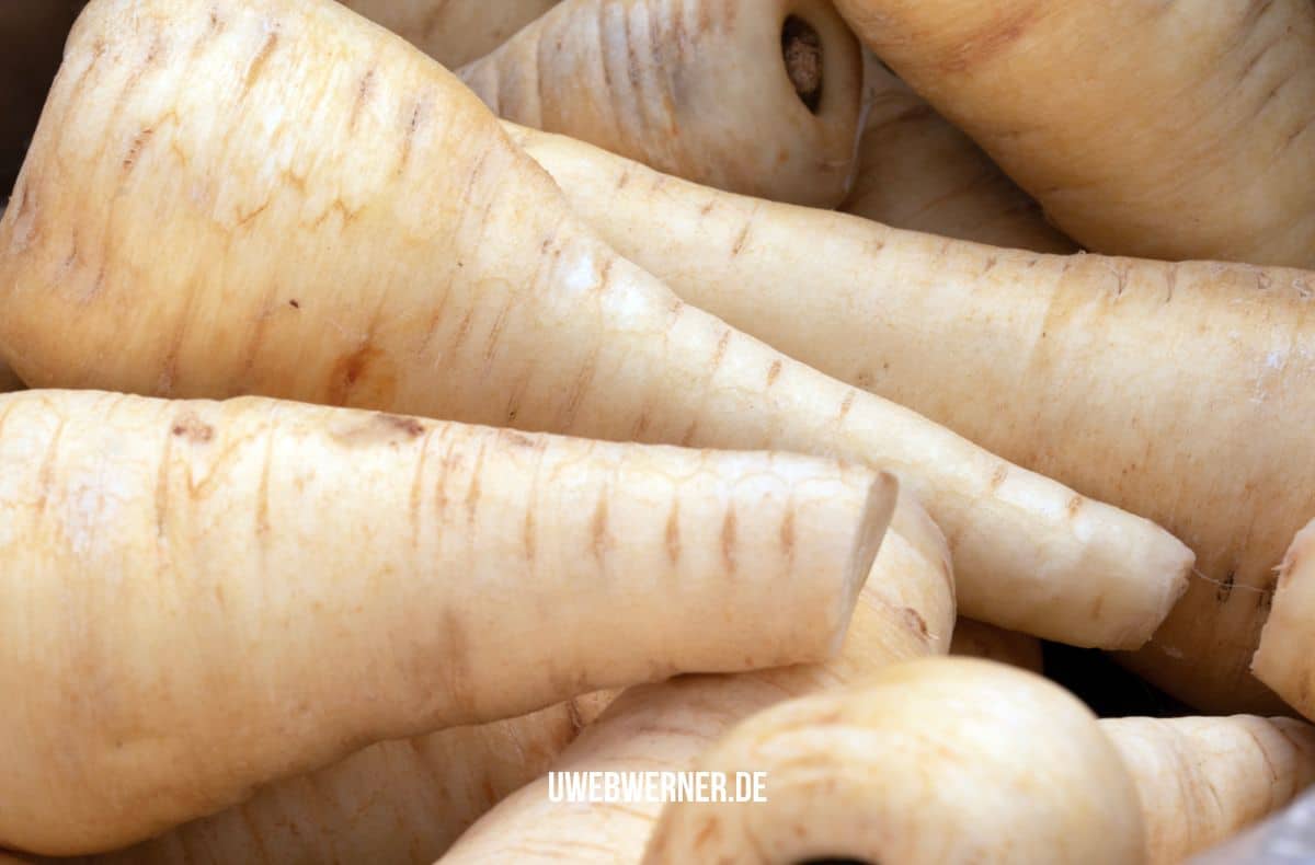 Rezept für Pastinaken-Birnen-Suppe 1 pastinaken