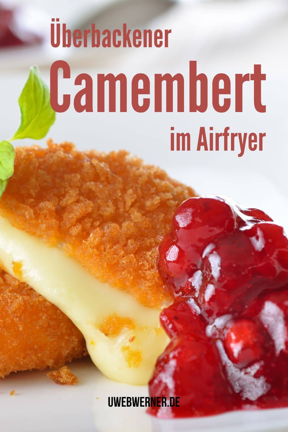 camembert im airfryer