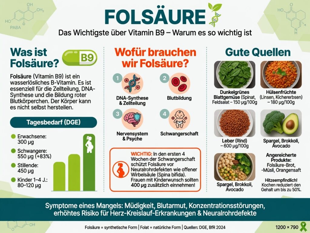 infografik folsäure 